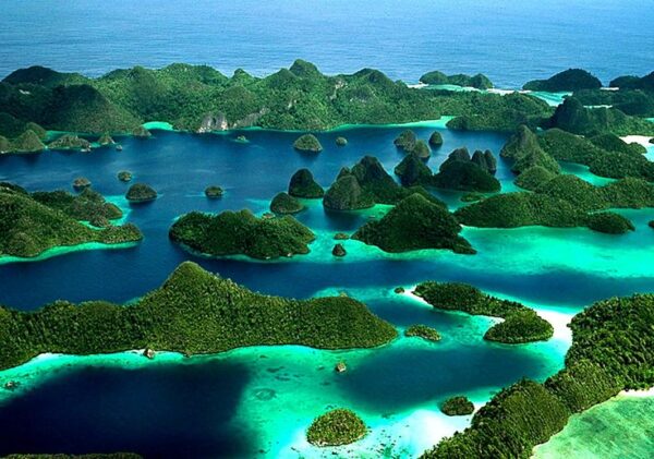 Destinasi Wisata di Indonesia yang Memiliki Pesona Bawah Laut!