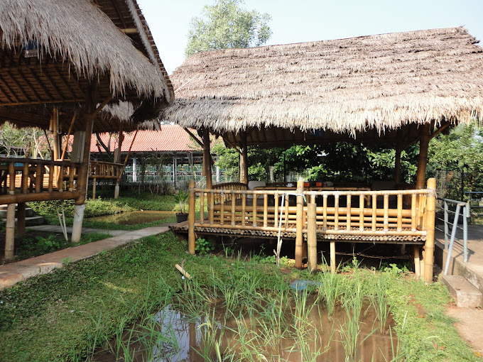 tempat makan bernuansa alam di cibubur